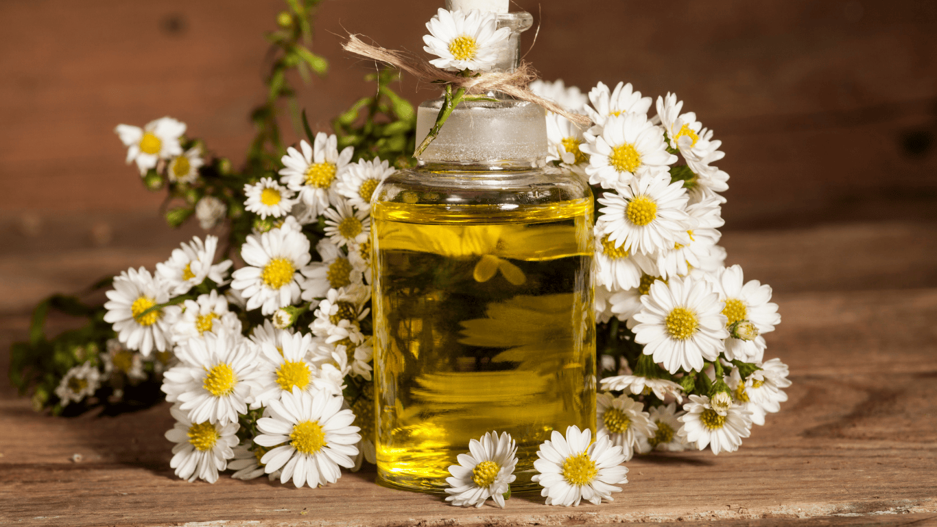 روغن بابونه برای پوست حساس: شواهد، ایمنی و روش مصرف حرفه‌ای